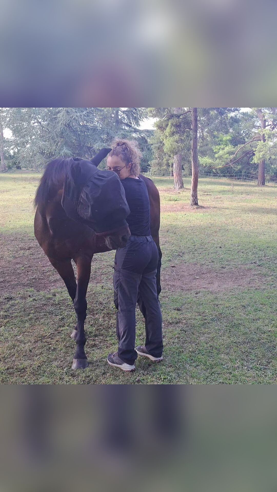 Bodywork equin et canin, média 3
