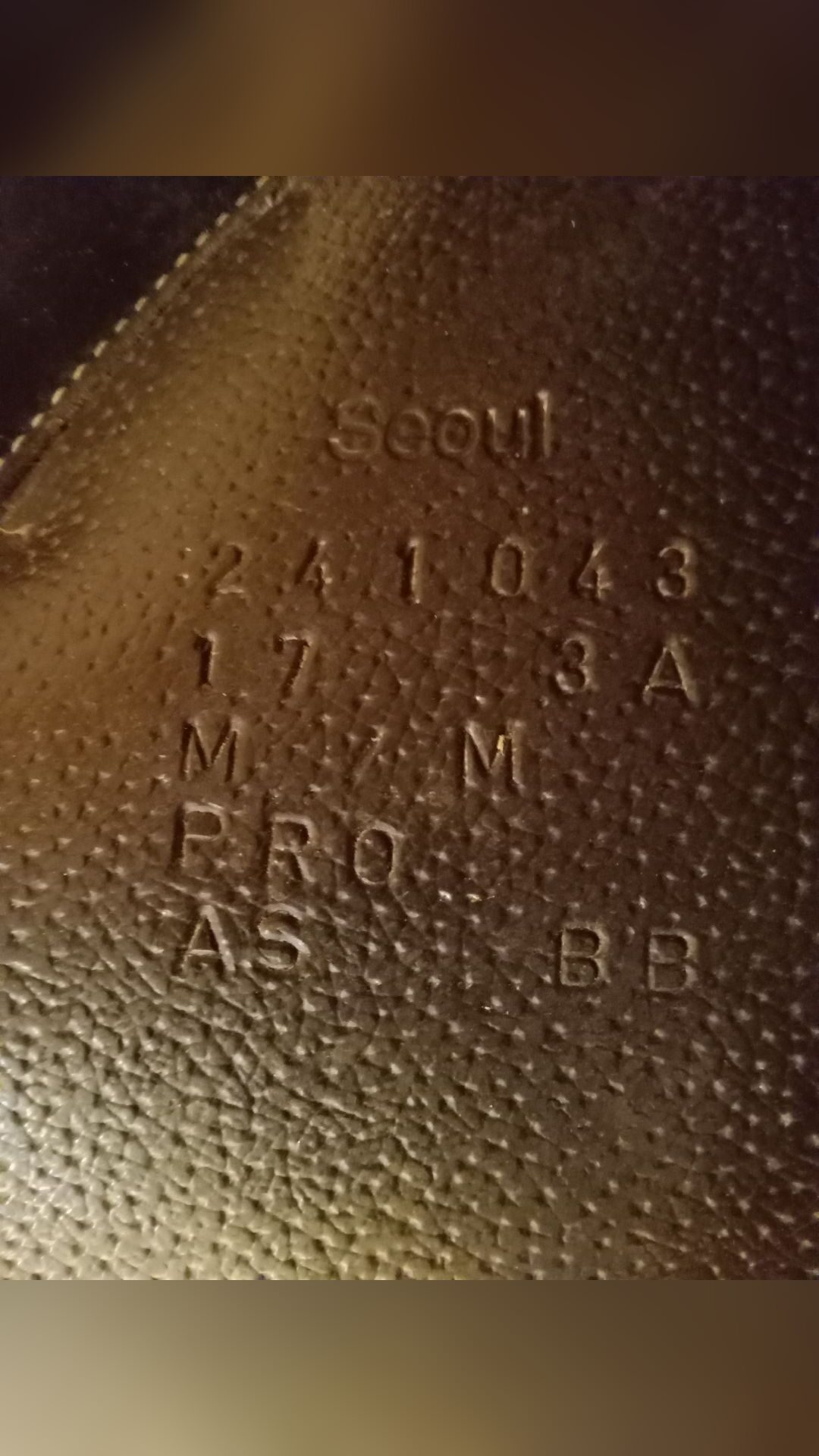 Selle Forestier, média 3