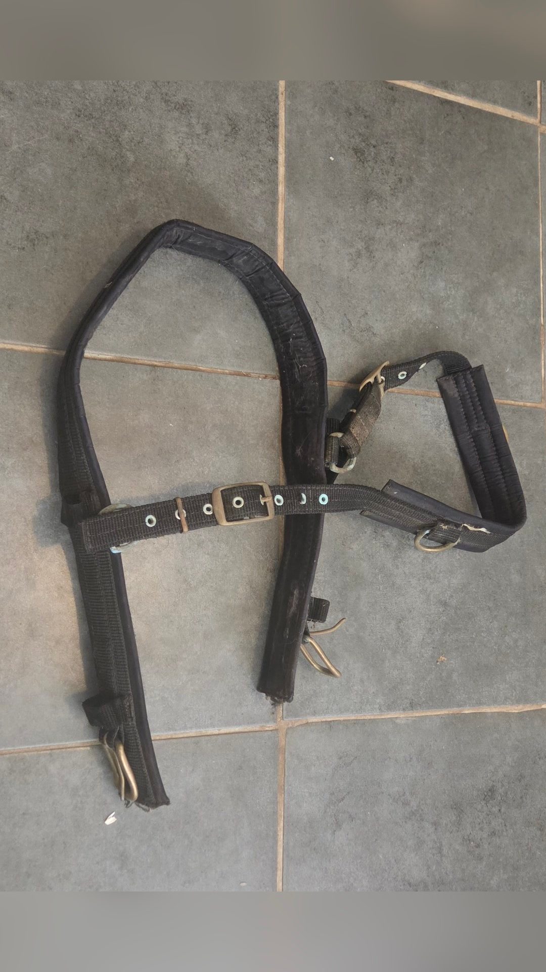 Harnais attelage cheval, média 4