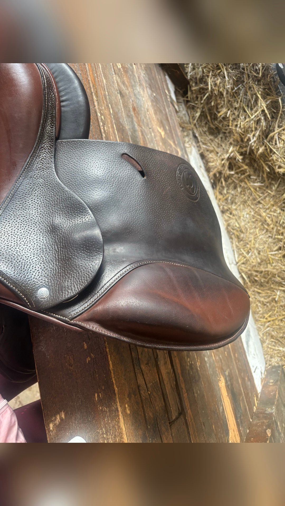 Selle Forestier, média 3