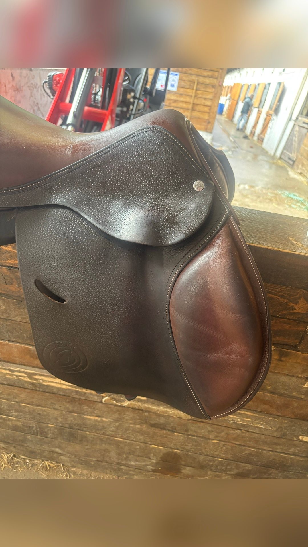 Selle Forestier, média 5