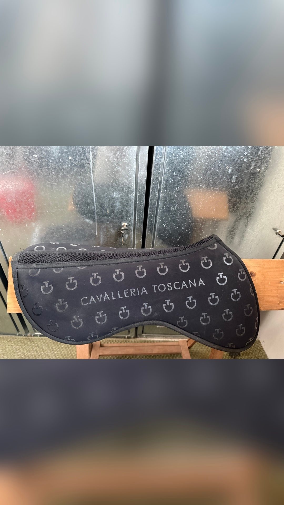 Amortisseur Cavalleria Toscana, média 2