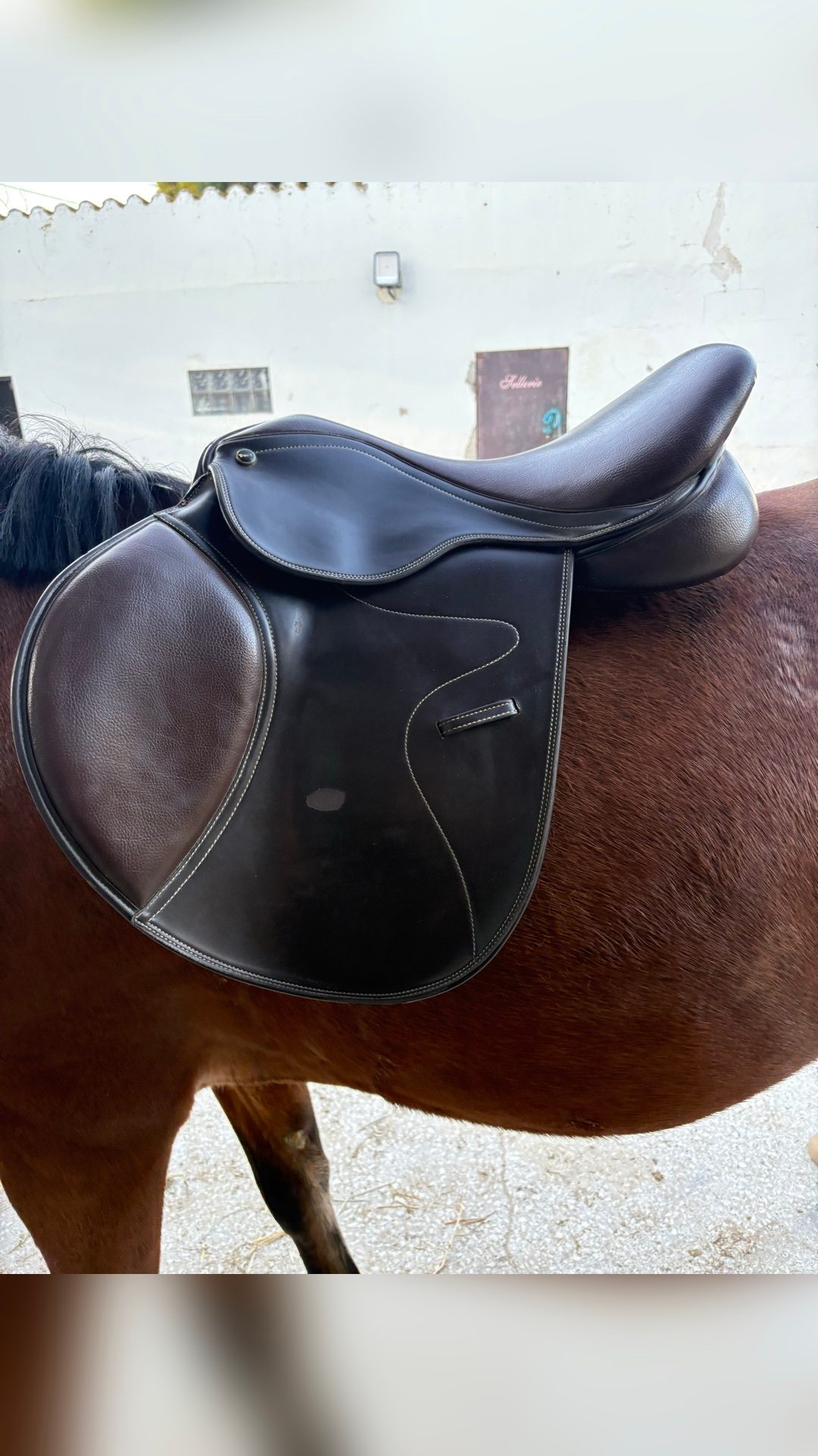Selle TdeT marron, média 10
