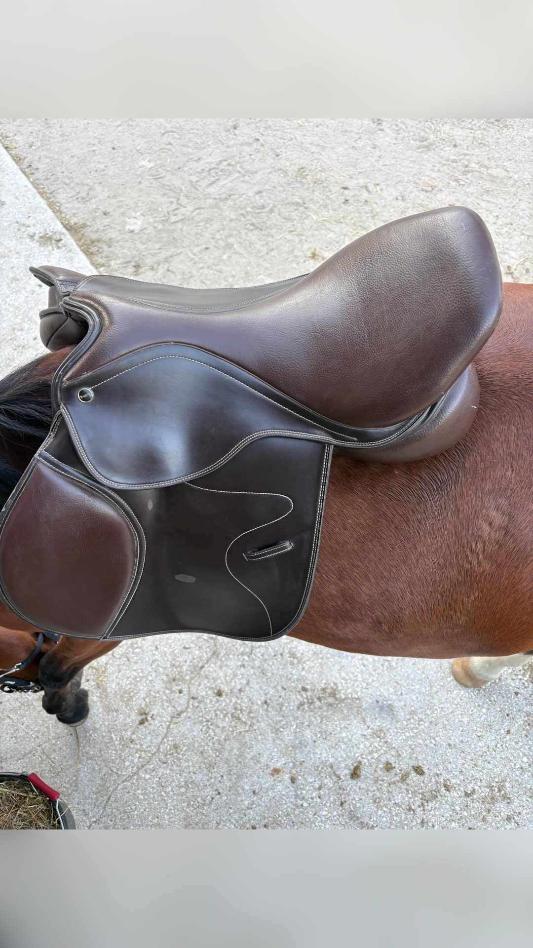 Selle TdeT marron, média 2