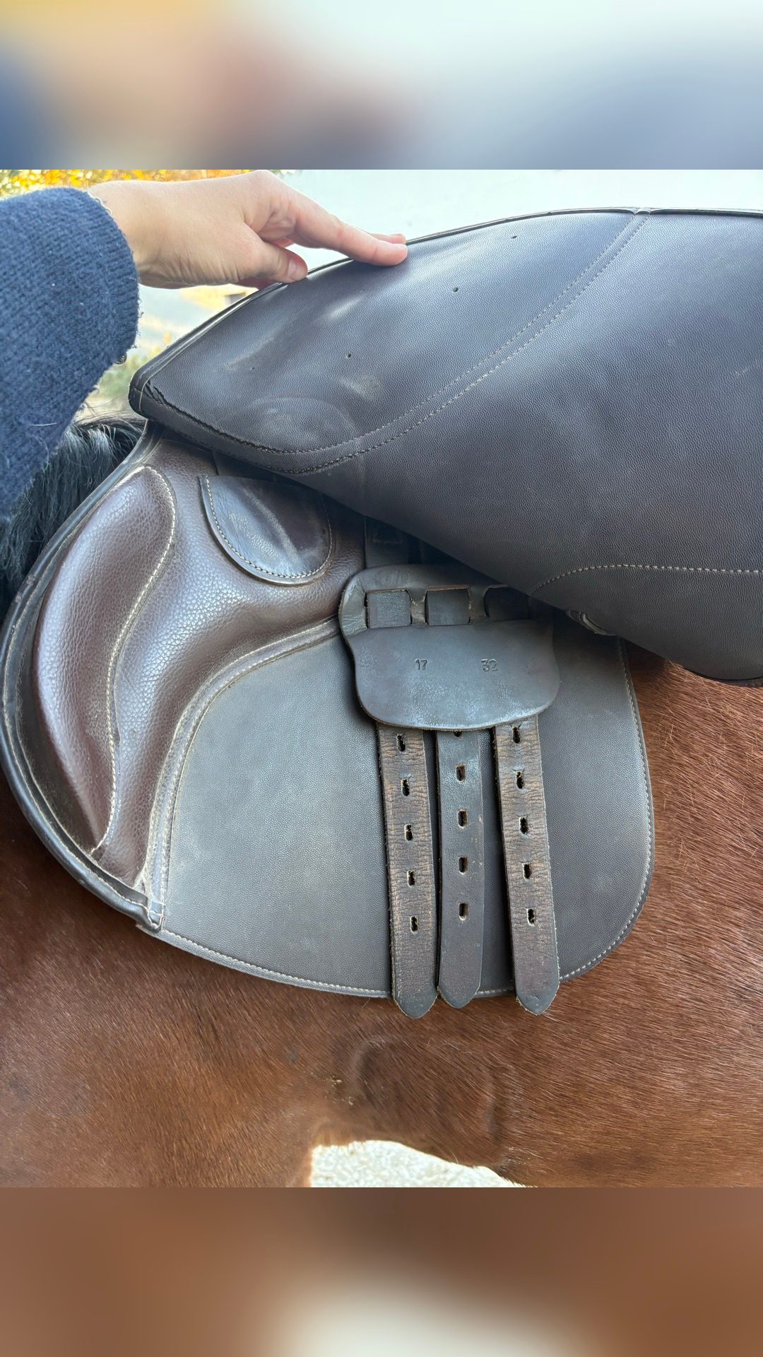 Selle TdeT marron, média 3
