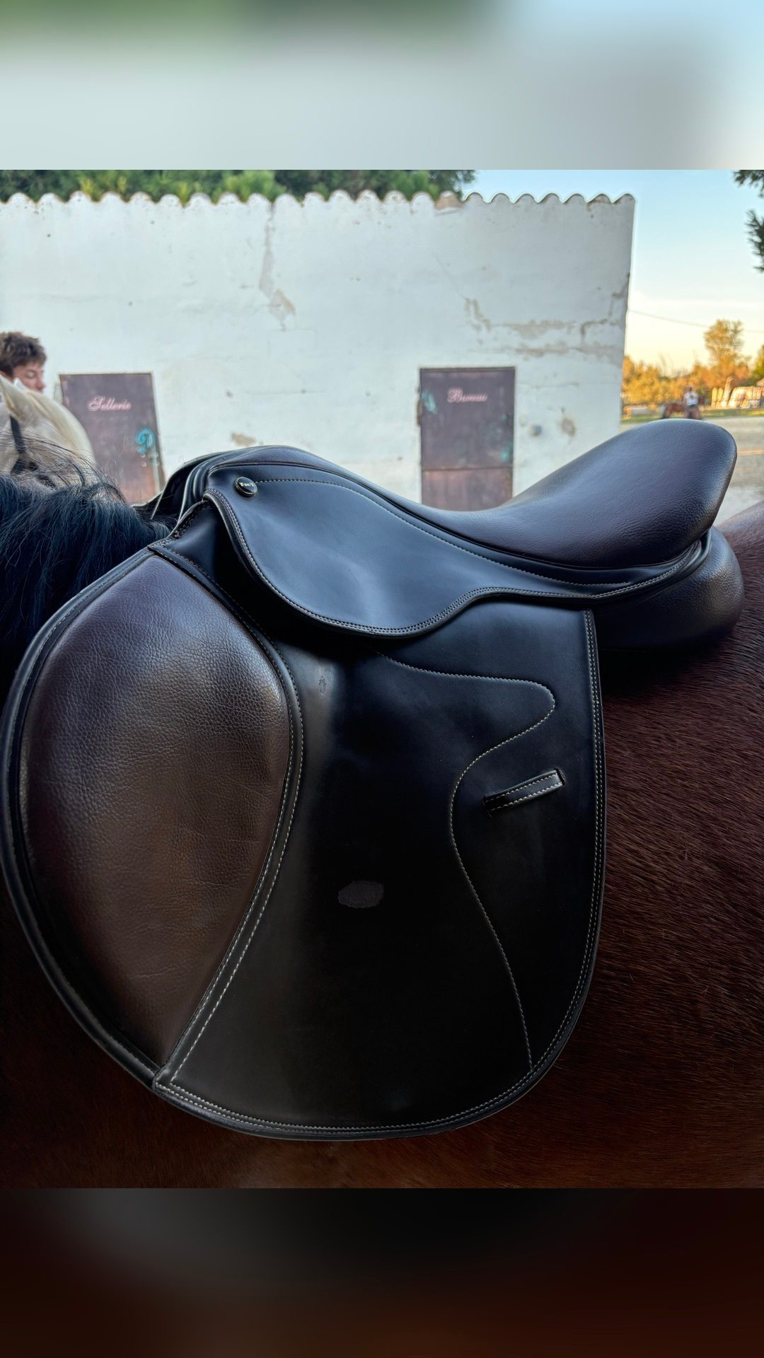 Selle TdeT marron, média 4