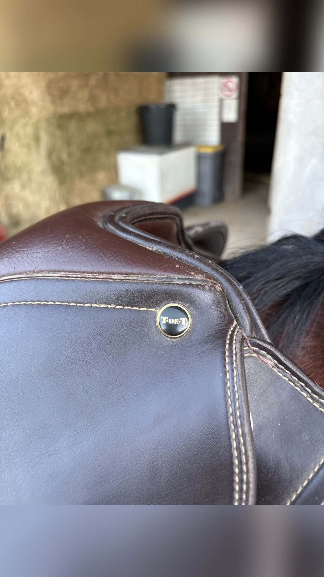 Selle TdeT marron, média 5