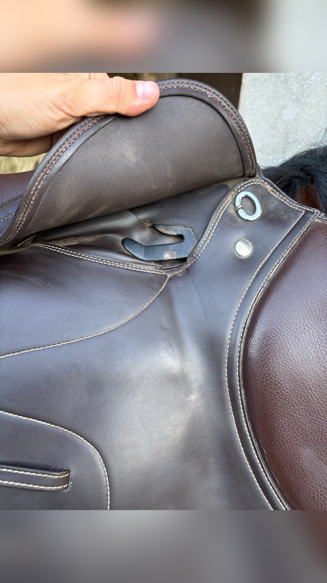 Selle TdeT marron, média 6