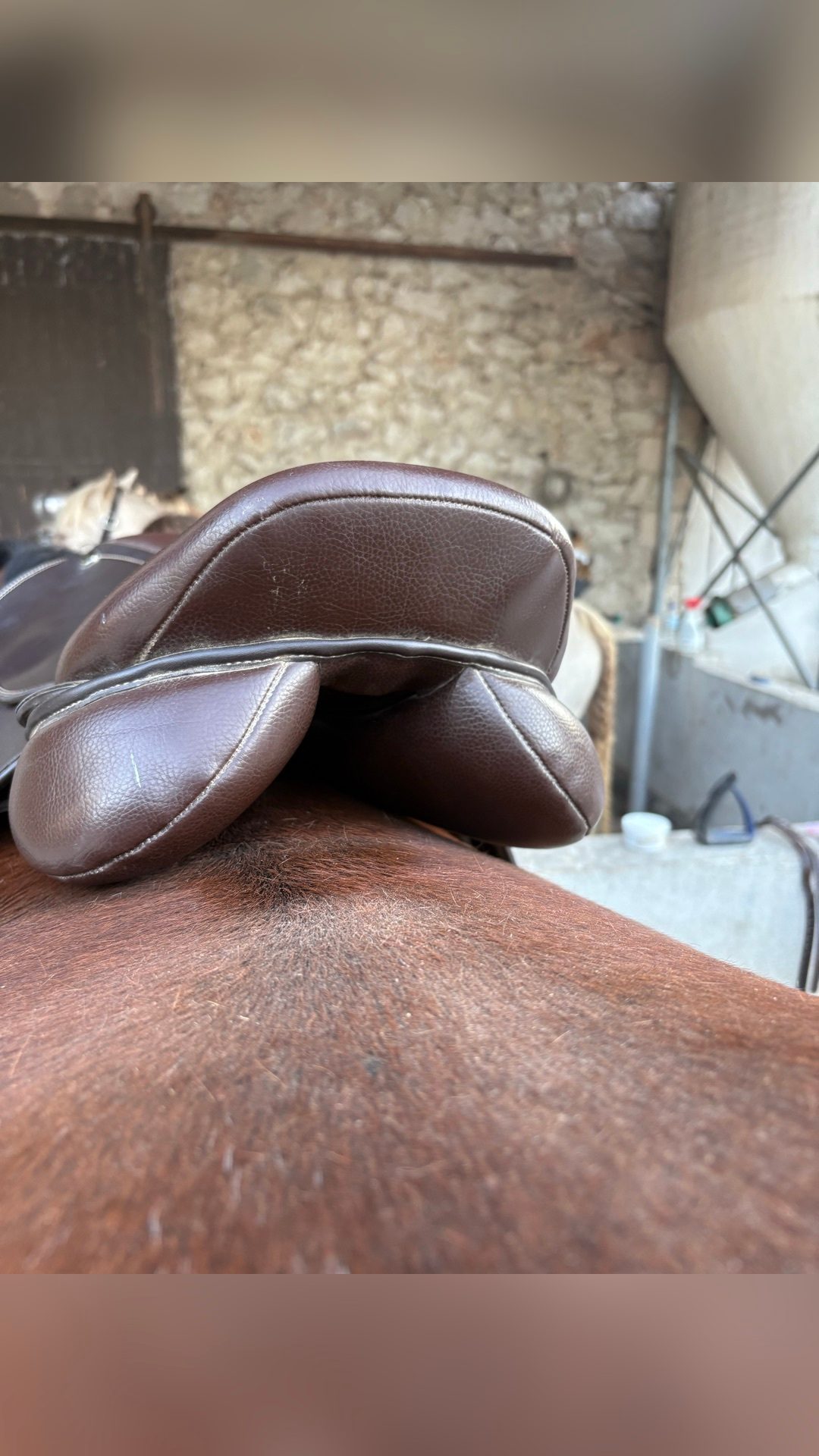 Selle TdeT marron, média 8