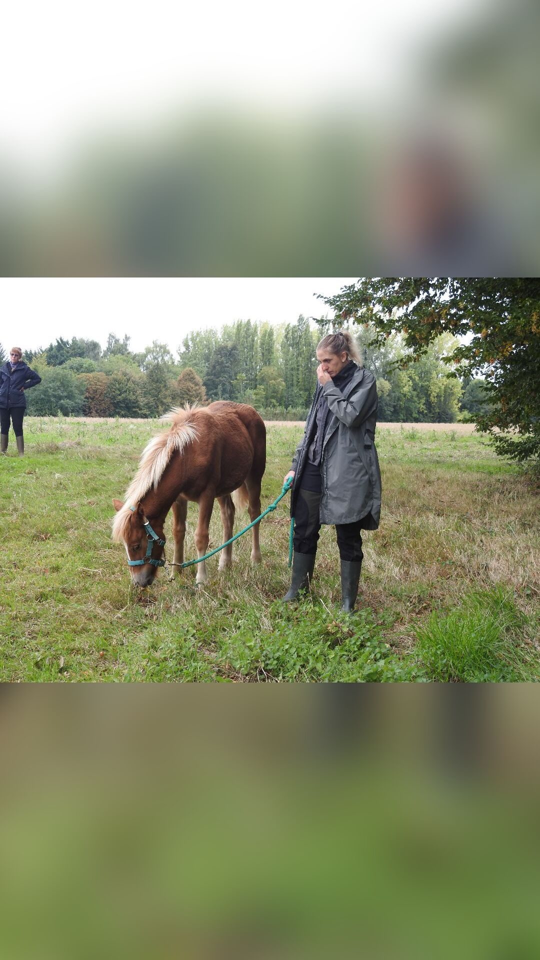 PELYPA CREPSOM, média 11