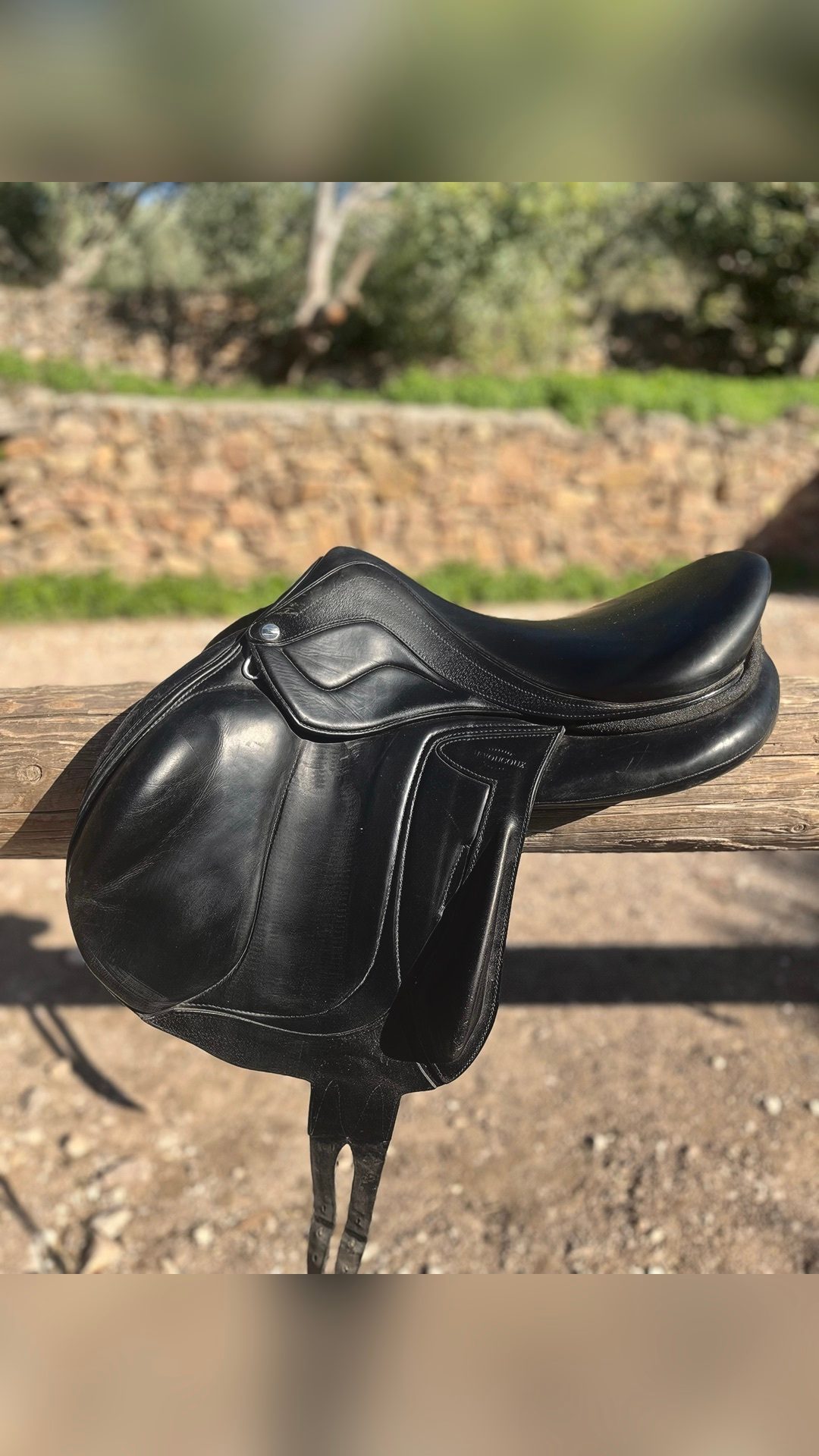 Selle Devoucoux, média 2