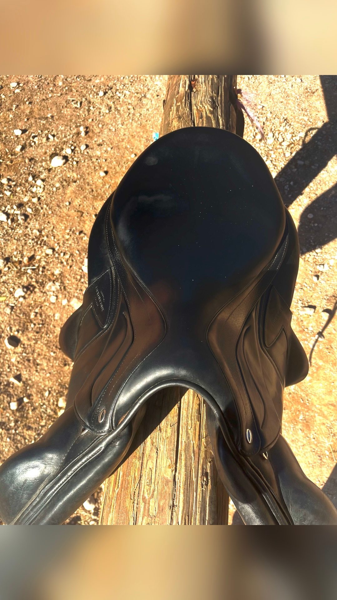 Selle Devoucoux, média 6