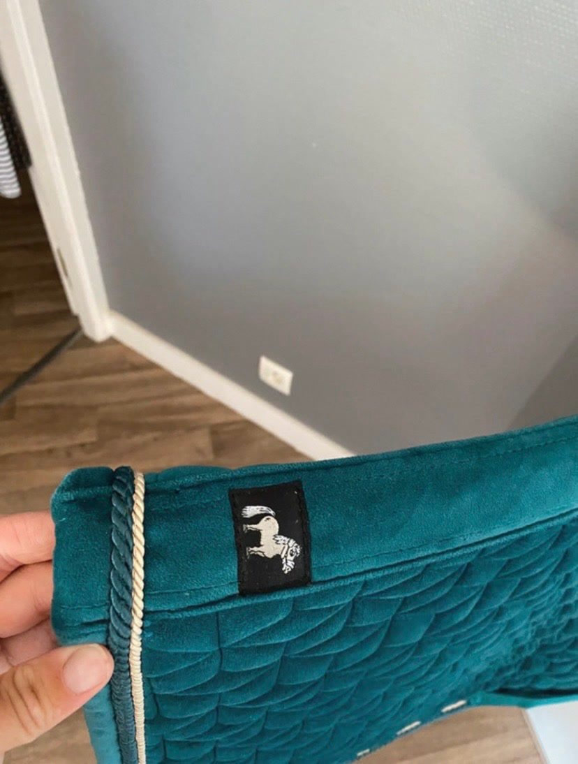tapis kentucky, média 3