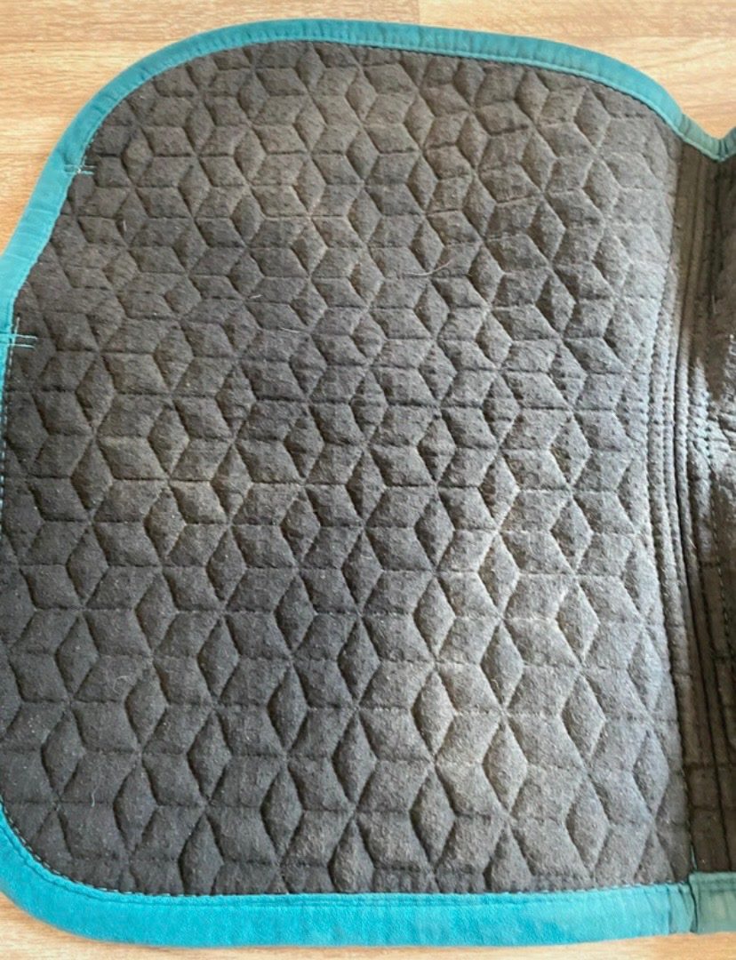 tapis kentucky, média 7