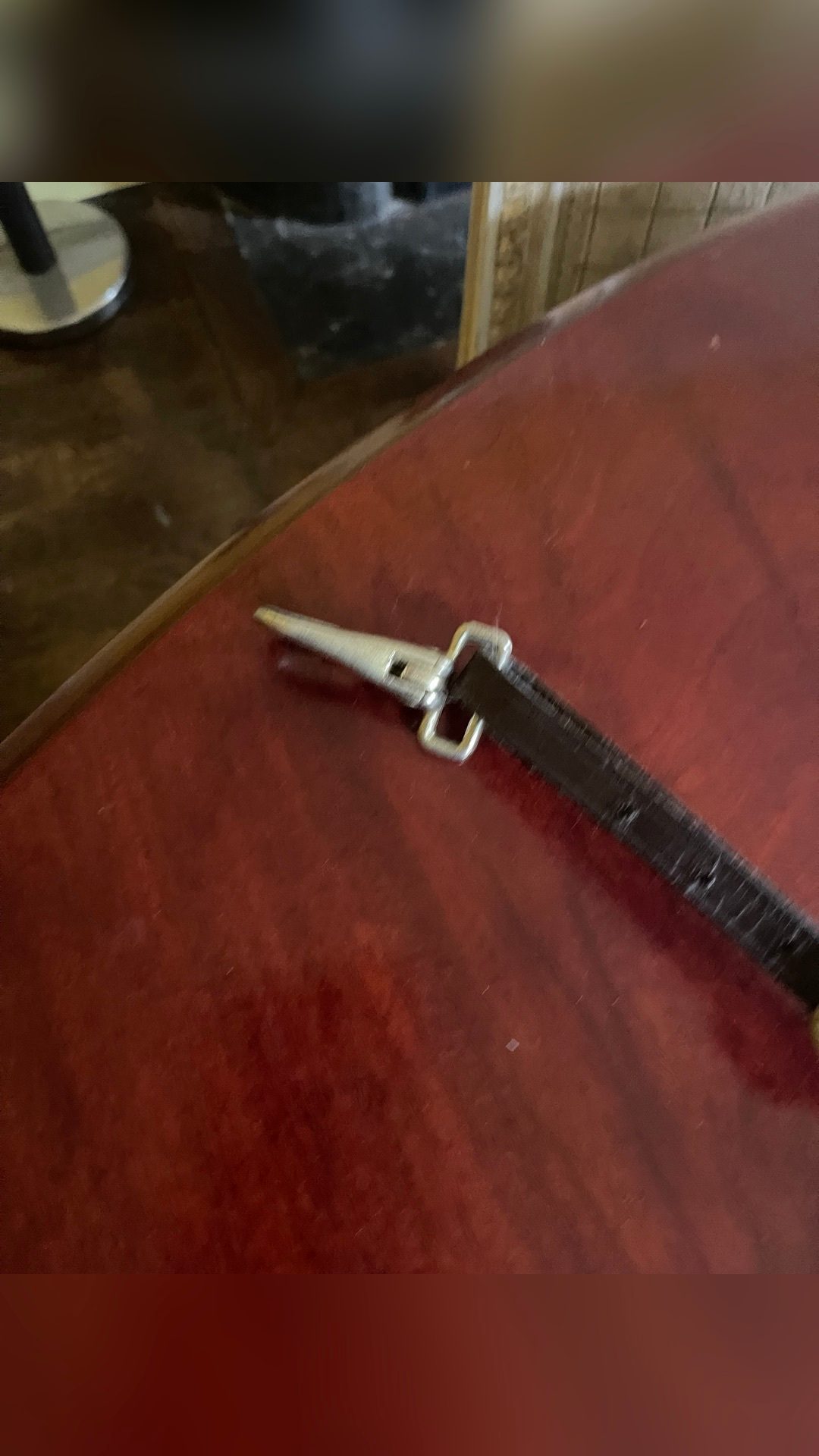 Collier de chasse Reynald, média 2