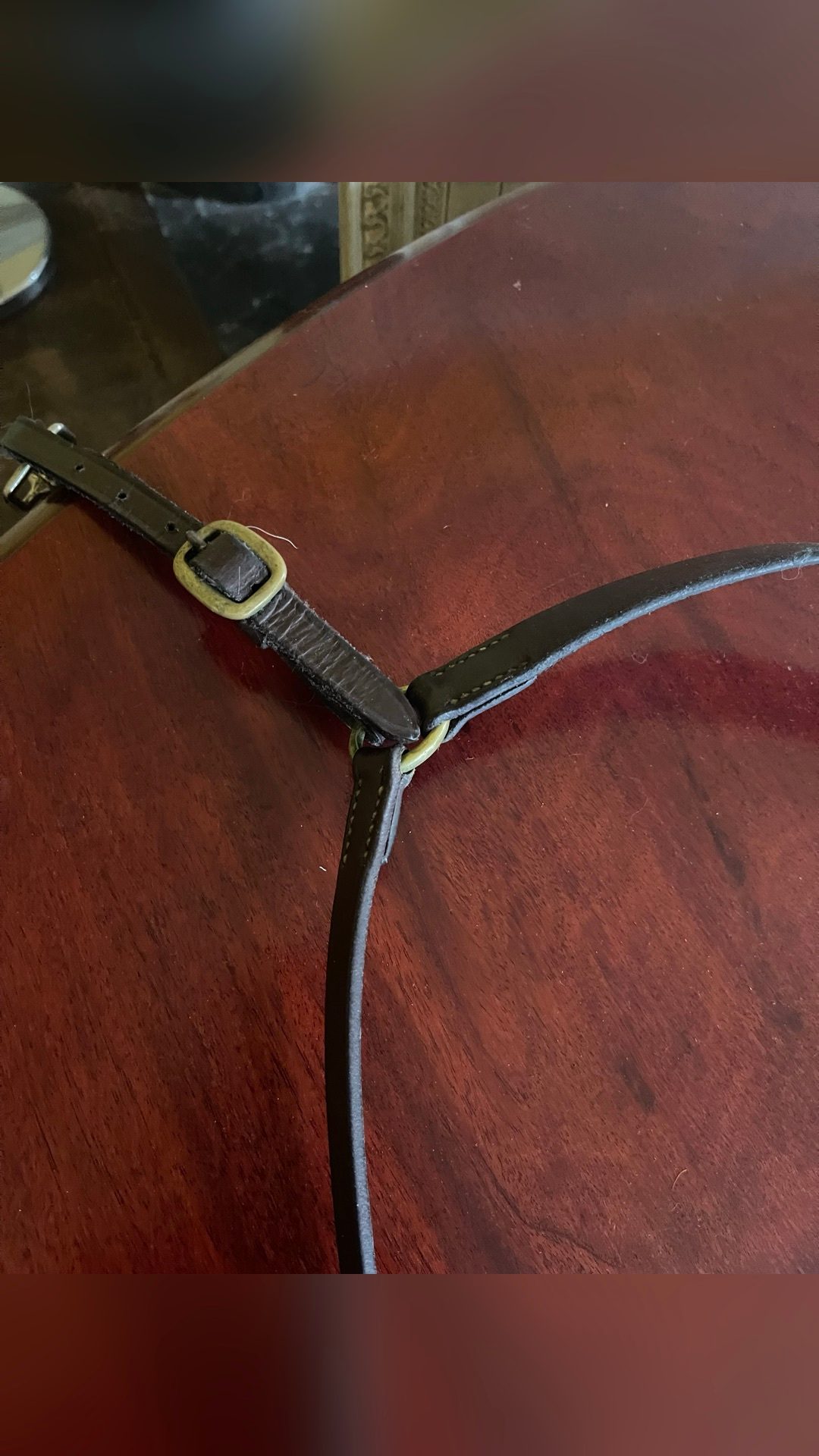 Collier de chasse Reynald, média 3