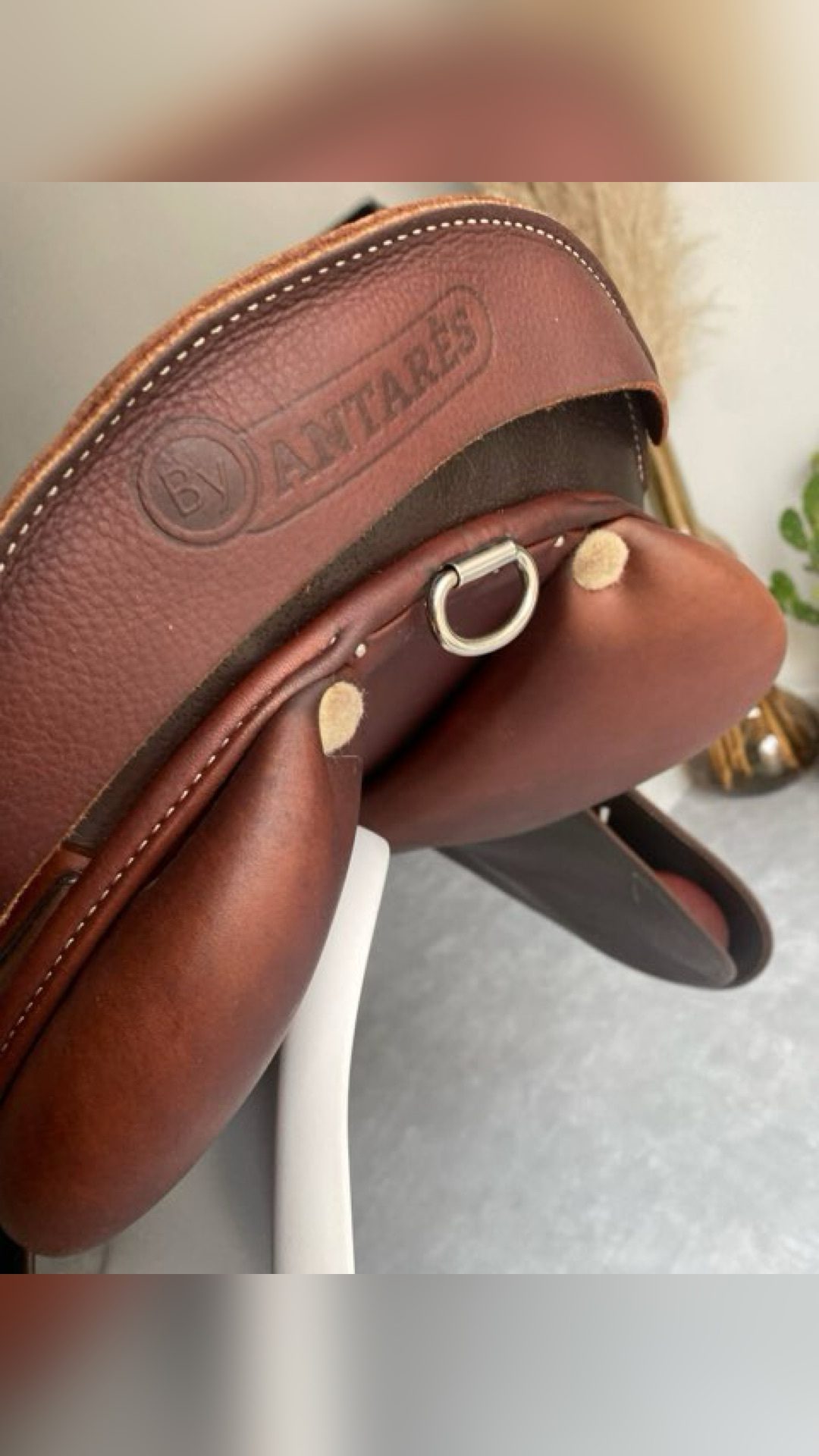 Selle Antarès, média 6
