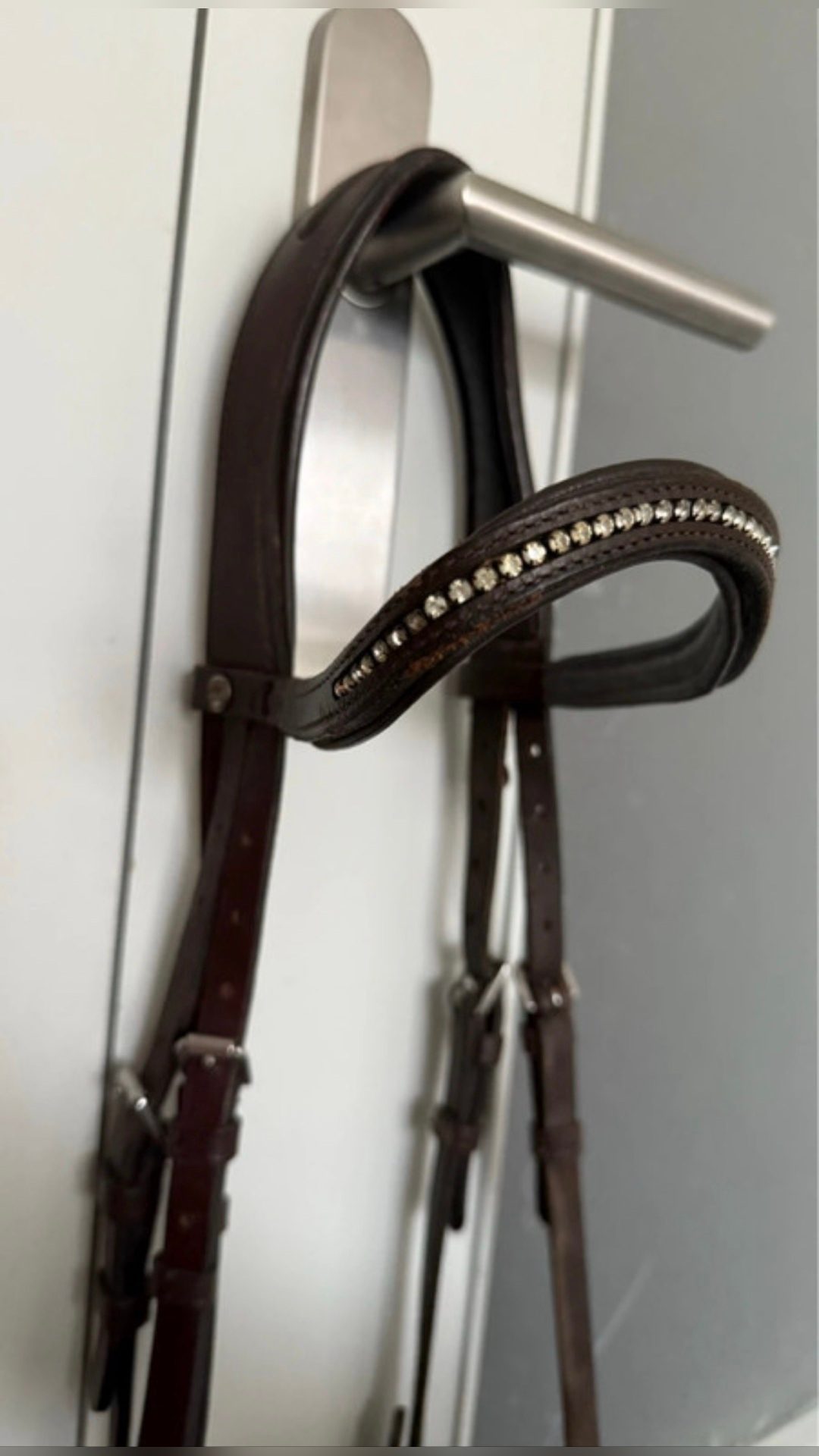 Filet cheval, média 4