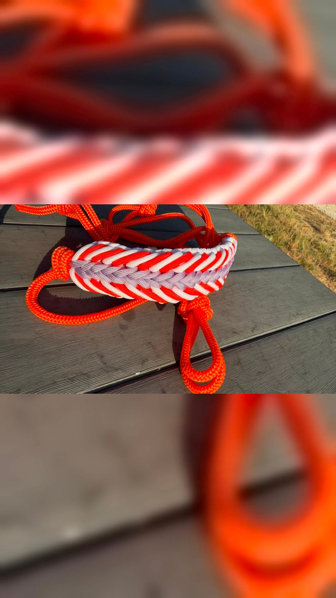 Licol ethologique, média 2