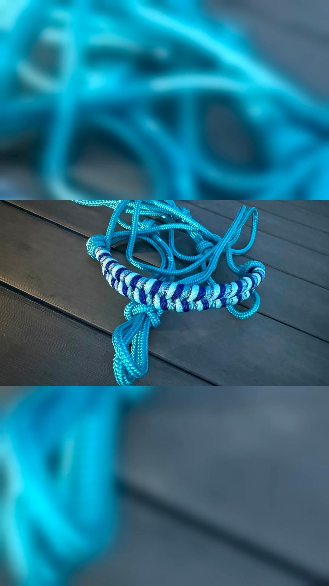 Licol ethologique, média 2