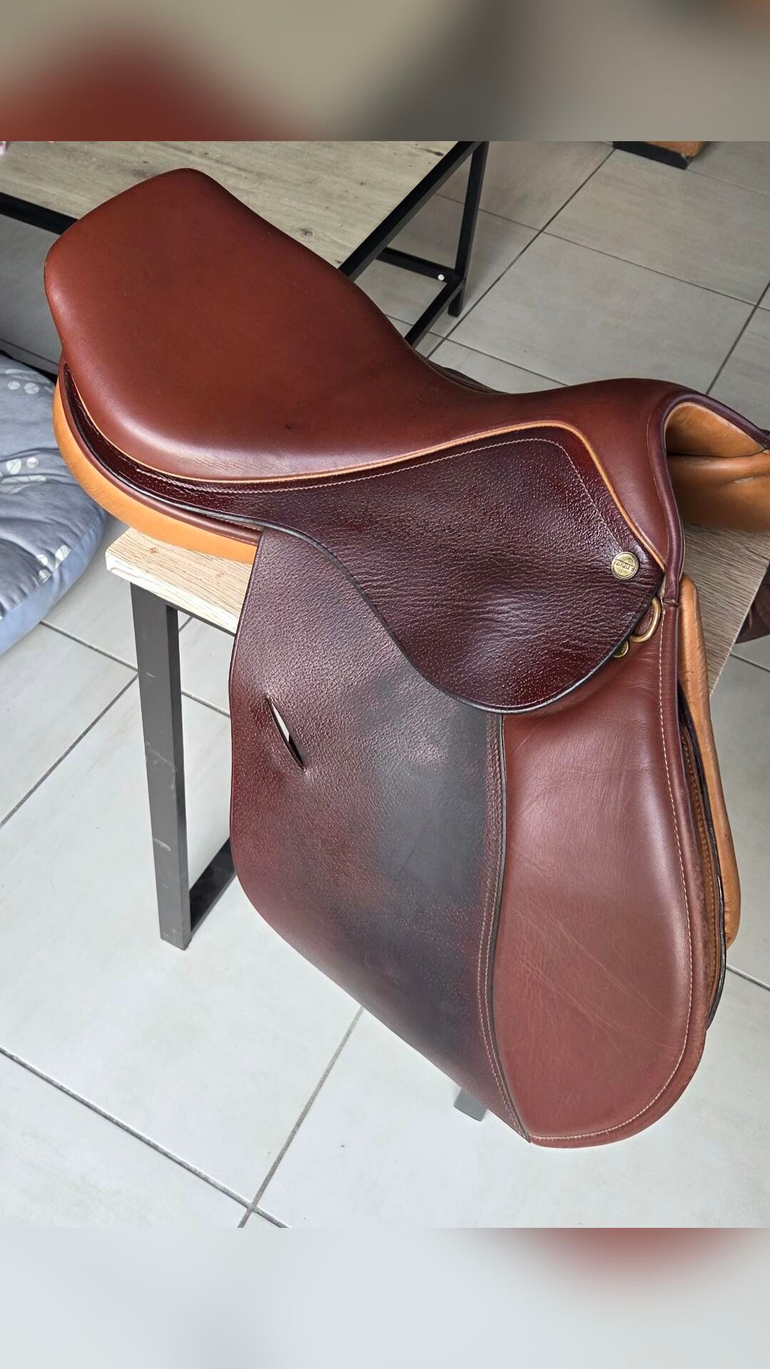Selle CSO mixte Terry’s 17 pouces havane, média 2