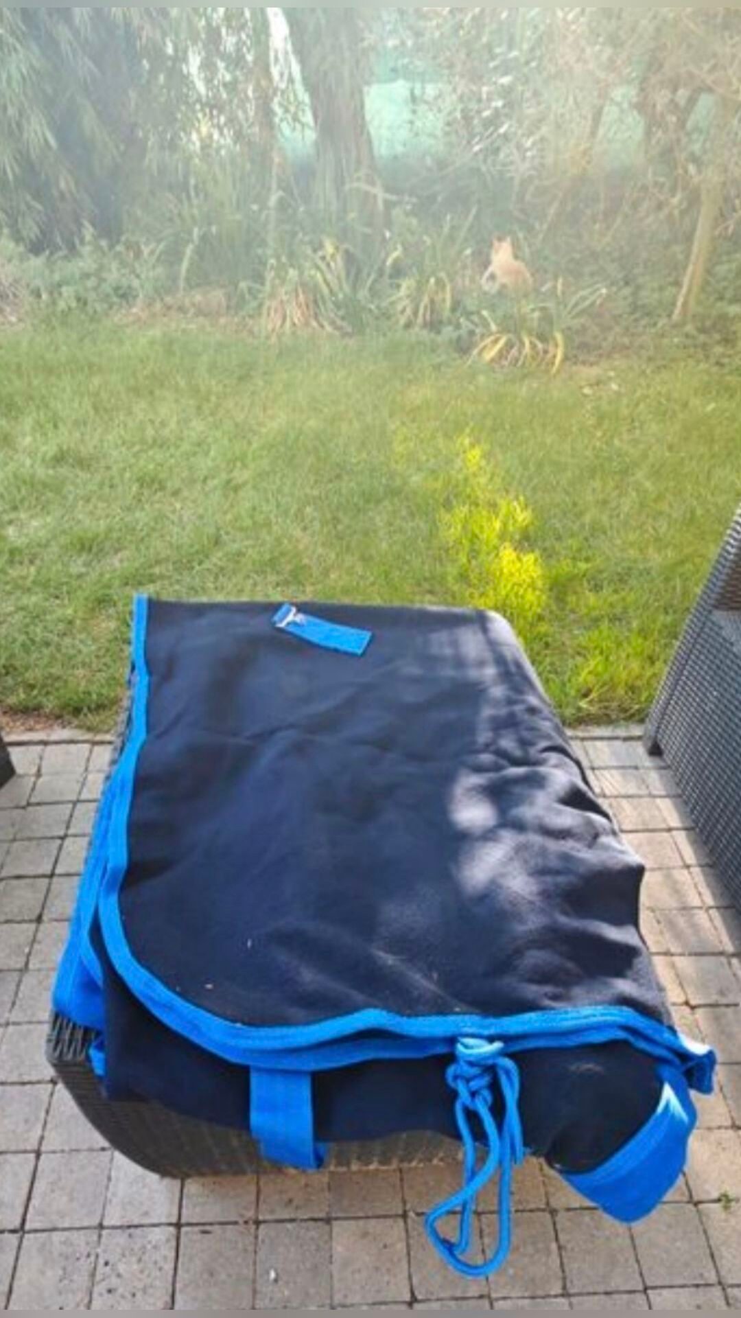 Couverture polaire Weatherbeeta, média 2