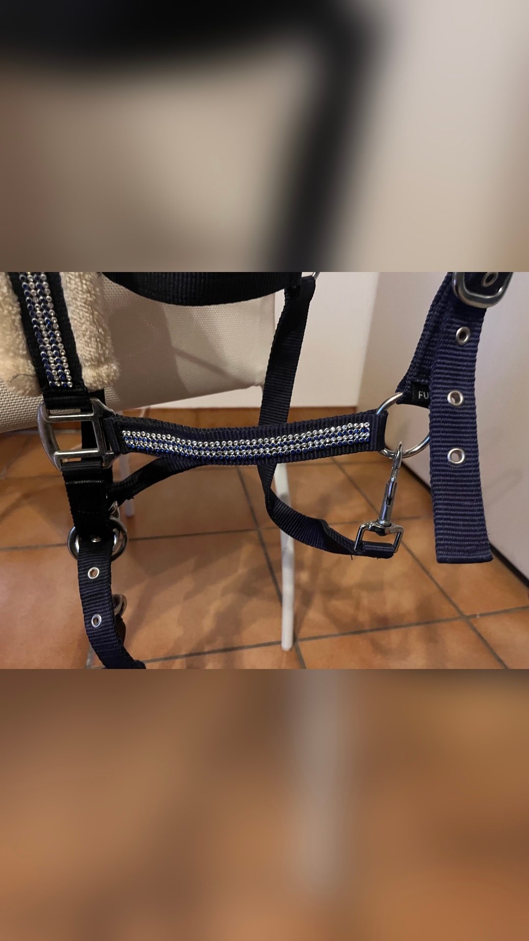 Licol bleu avec strass et moumoute, média 4