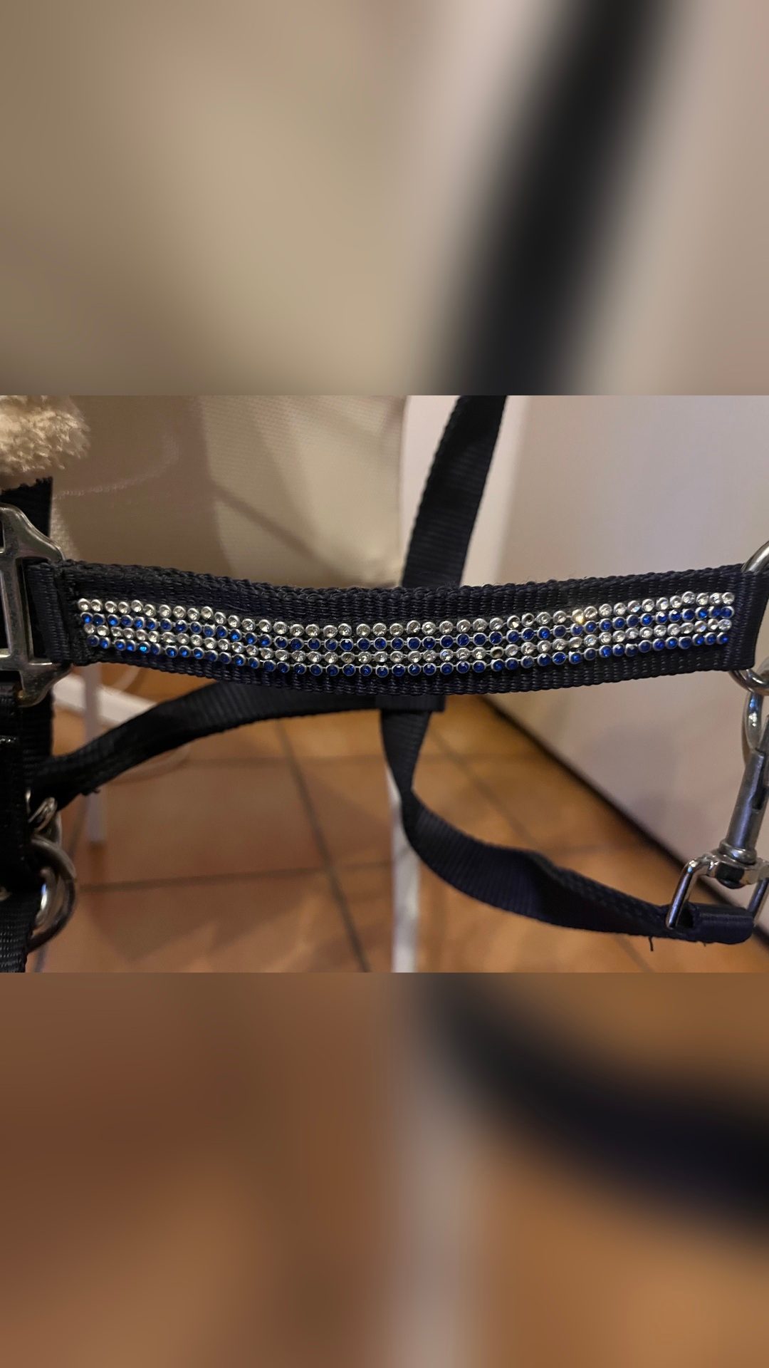 Licol bleu avec strass et moumoute, média 5