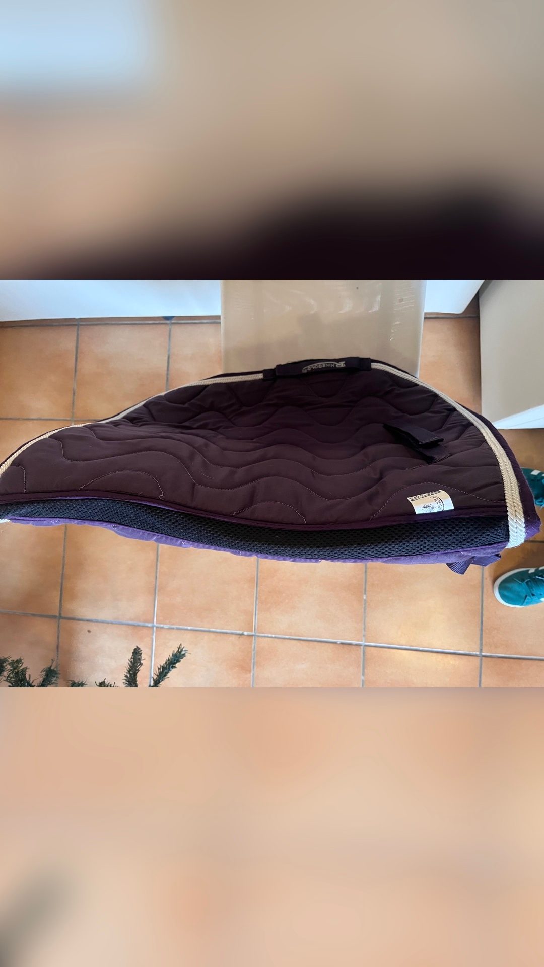 Tapis Rhinegold violet, média 4
