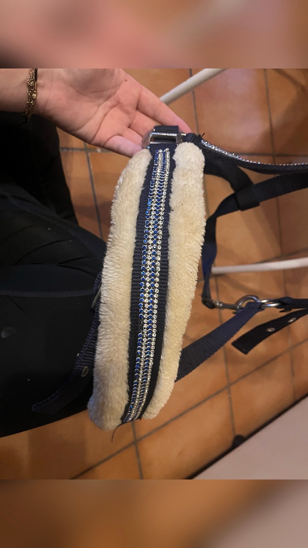 Licol bleu avec strass et moumoute, média 6