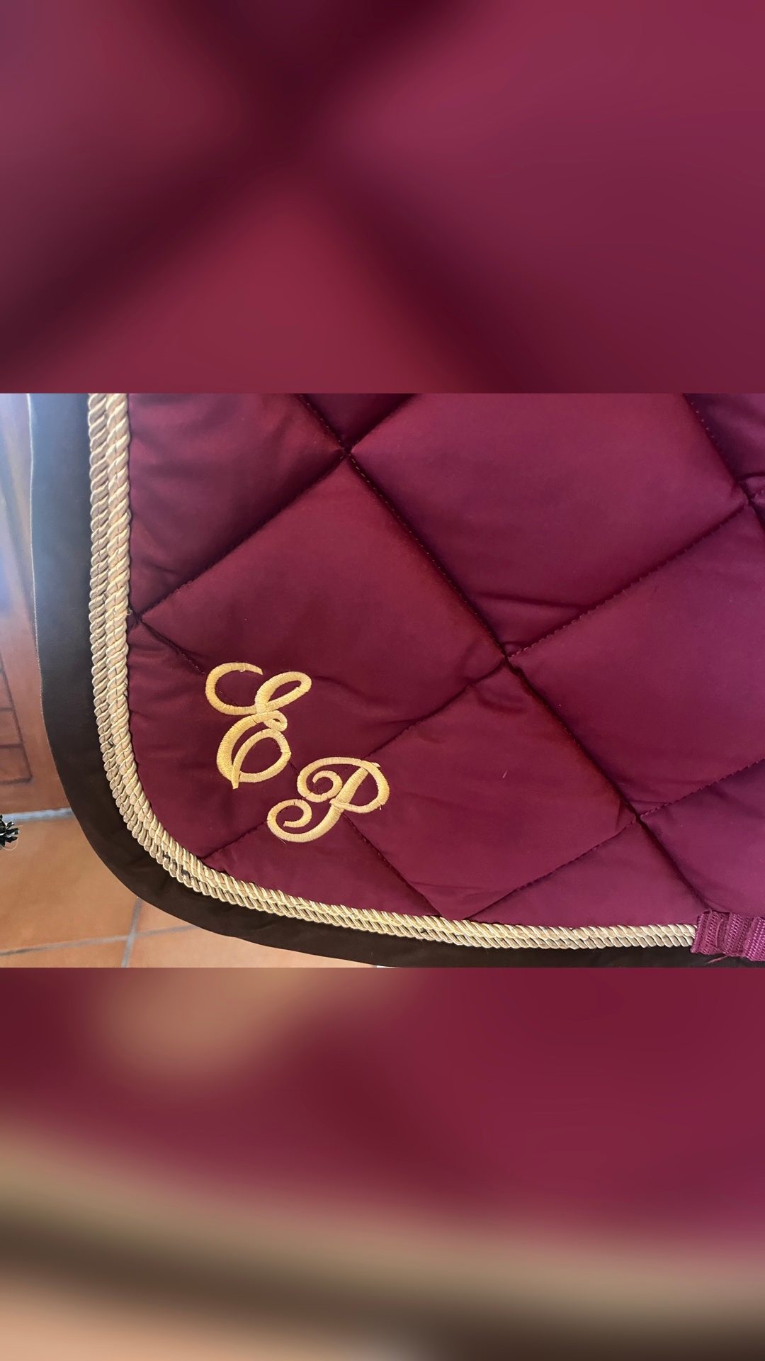 Tapis Lauria Garelli brodé E P, média 2