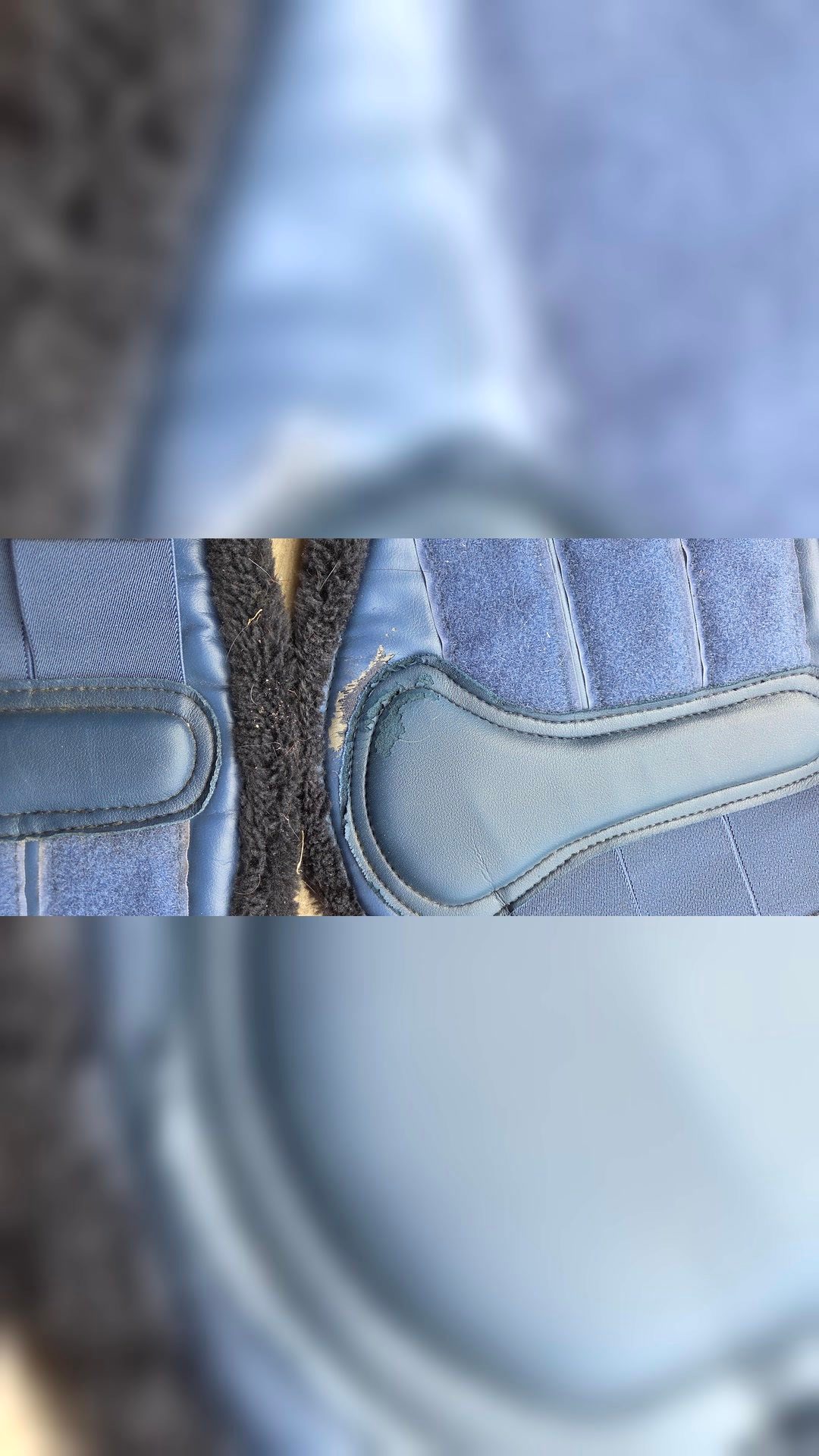 Guêtres de dressage, média 4