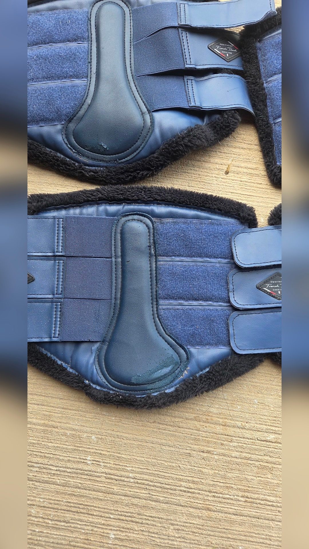 Guêtres de dressage, média 2