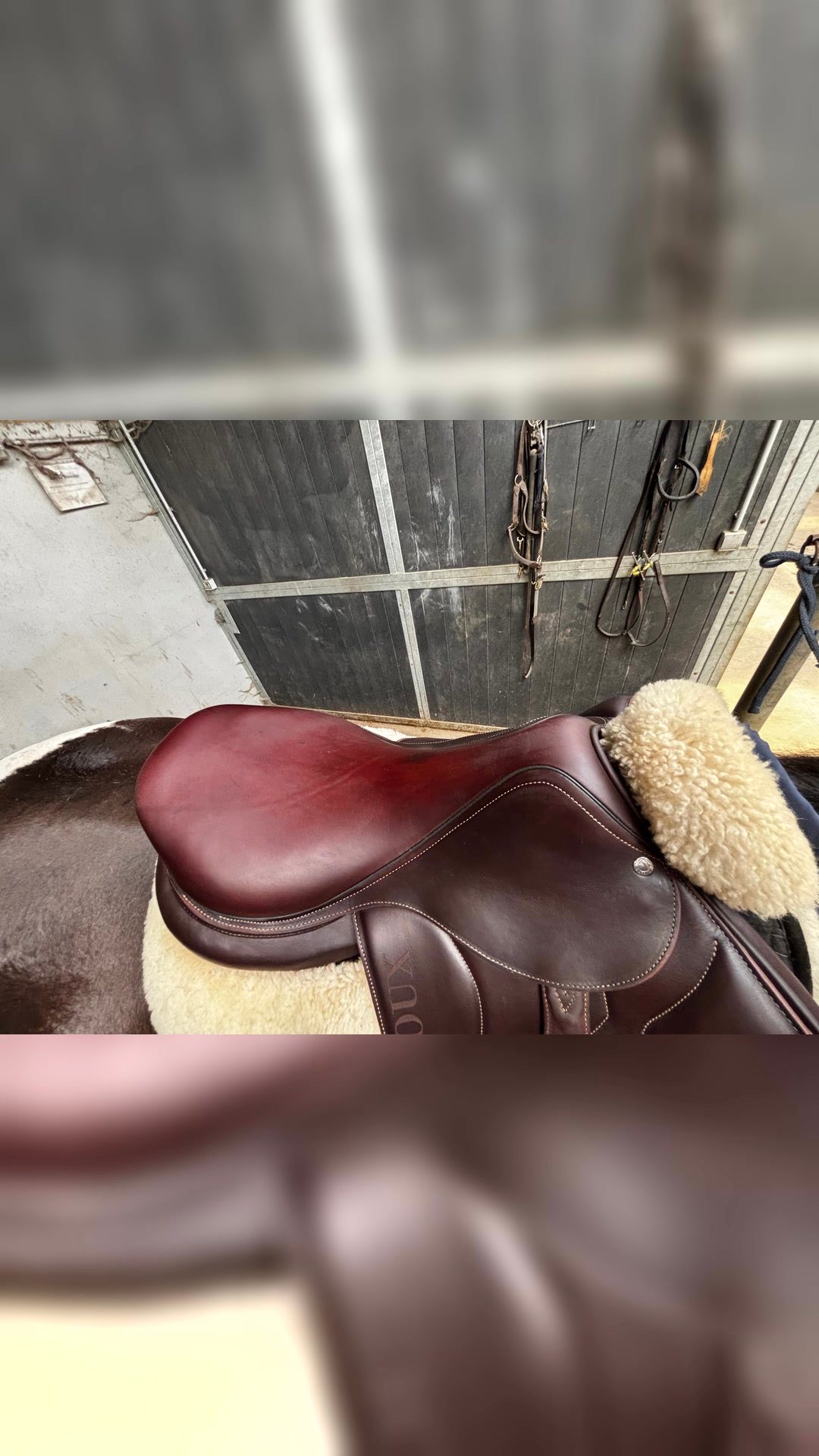 Selle Devoucoux Biarritz 18 pouces, média 3