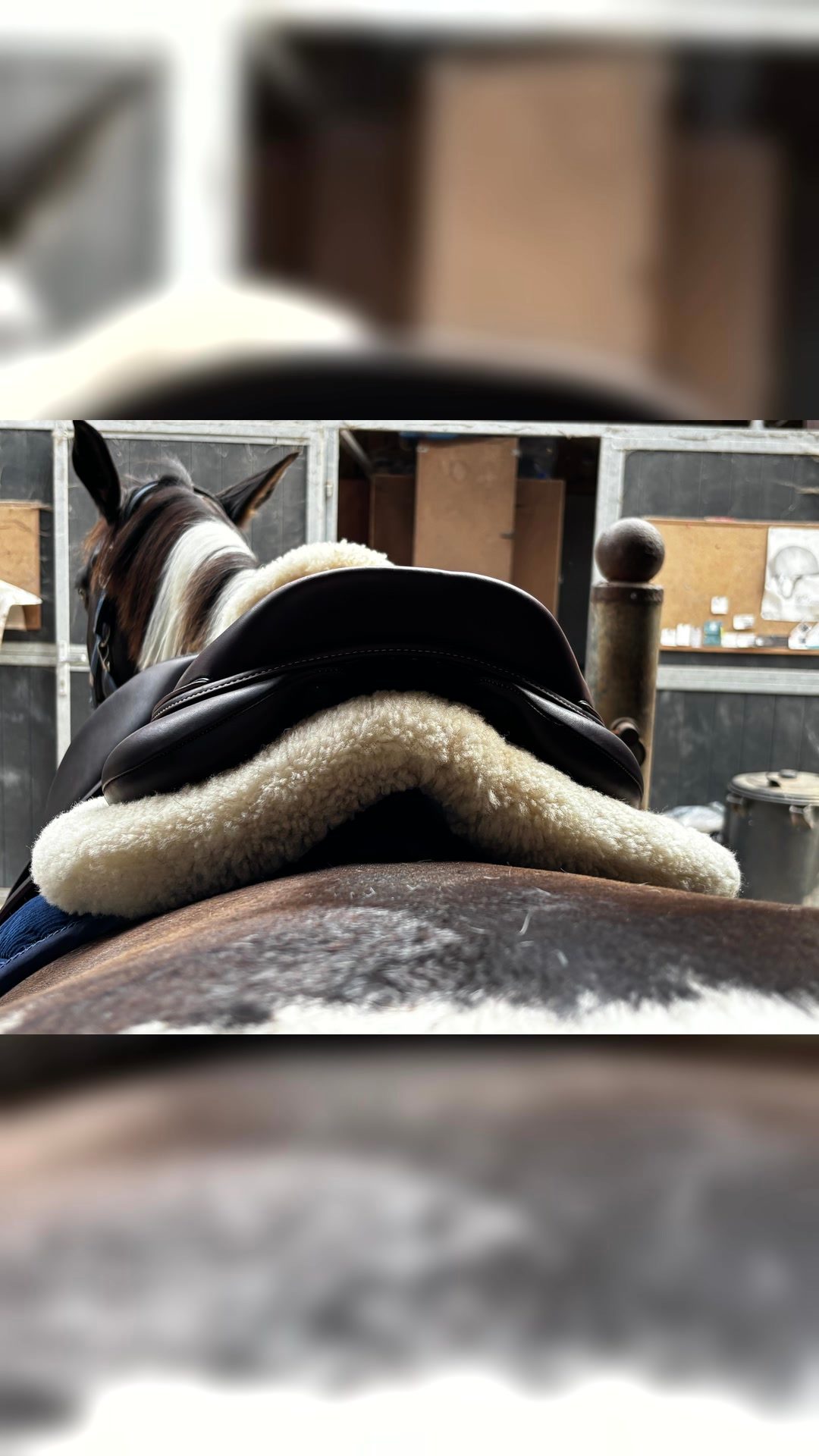 Selle Devoucoux Biarritz 18 pouces, média 4