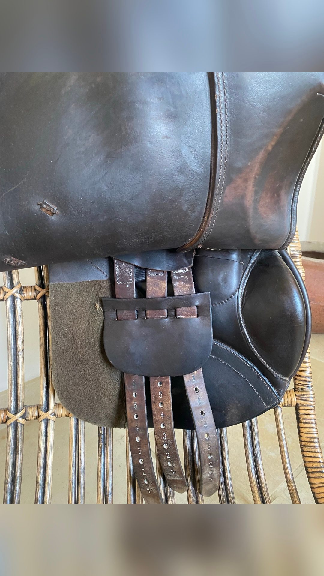 Selle de cheval Nortier, média 4
