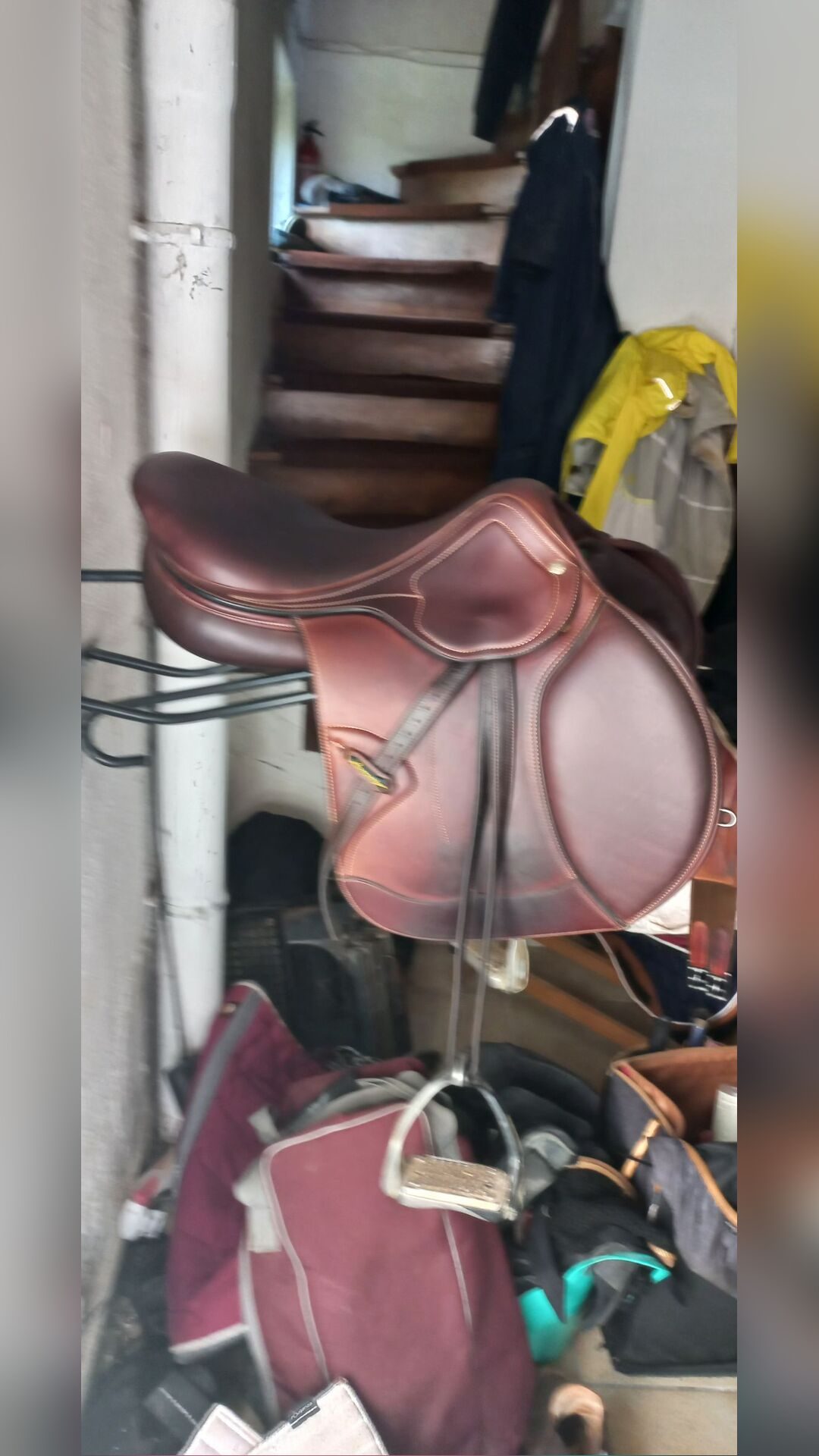 Selle Amerigo 2019, média 2