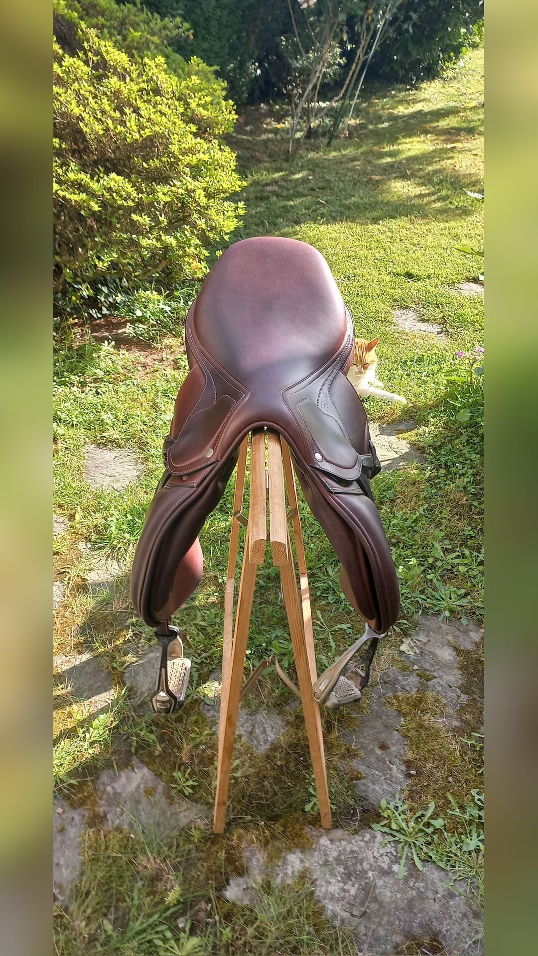 Selle Amerigo 2019, média 3