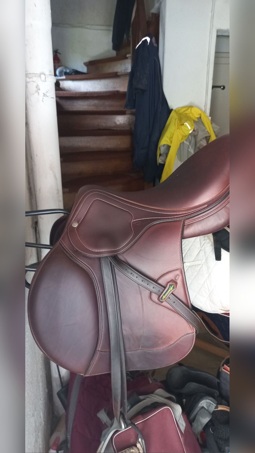 Selle Amerigo 2019, média 7