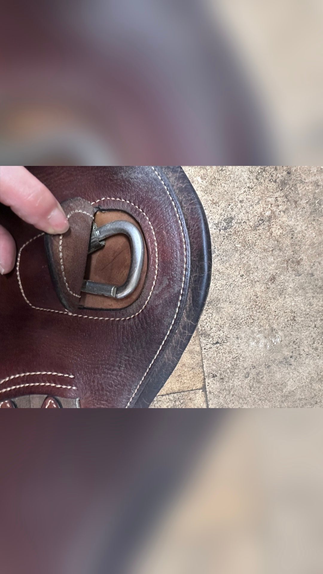 Antarès sangle courte taille 40, média 3