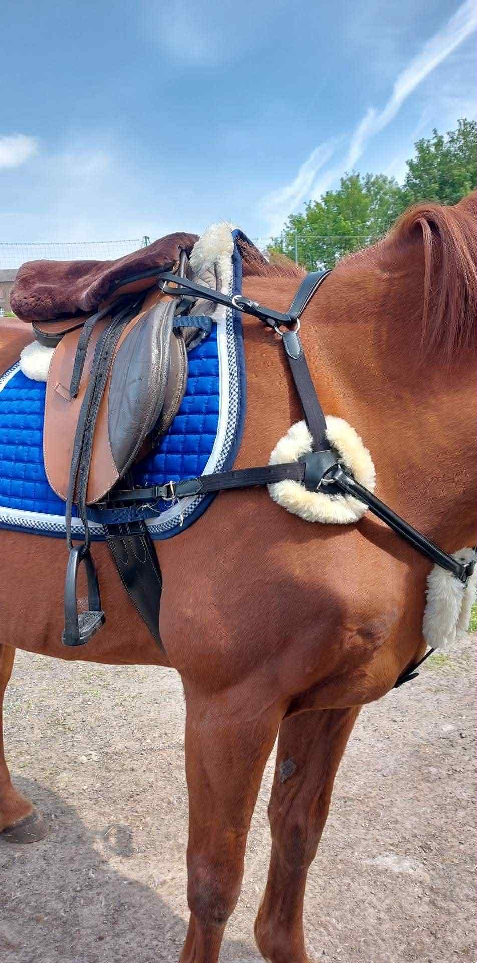 Selle spanaldi 17p, média 2