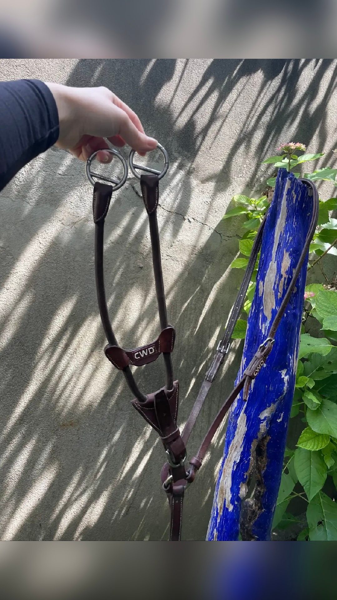 Martingale CWD taille poney – Excellent état – 90€, média 2