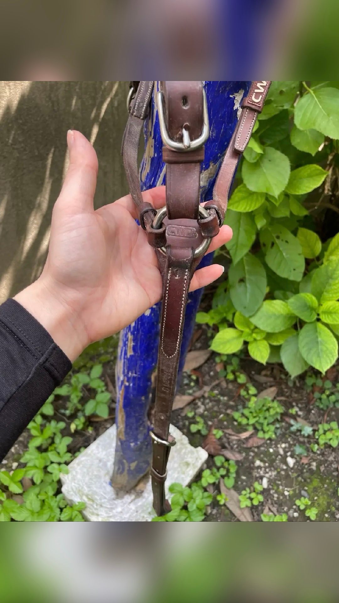 Martingale CWD taille poney – Excellent état – 90€, média 4