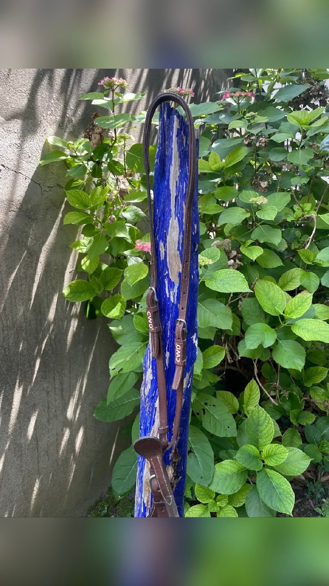 Martingale CWD taille poney – Excellent état – 90€, média 5