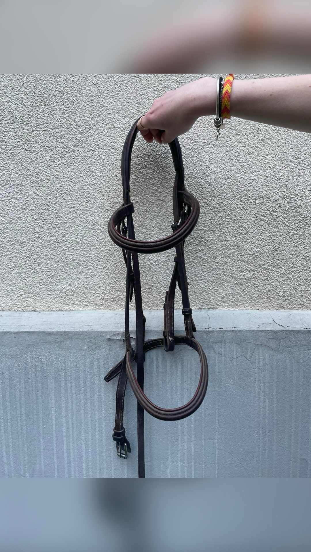 Filet CWD taille poney / Très bon état, média 2