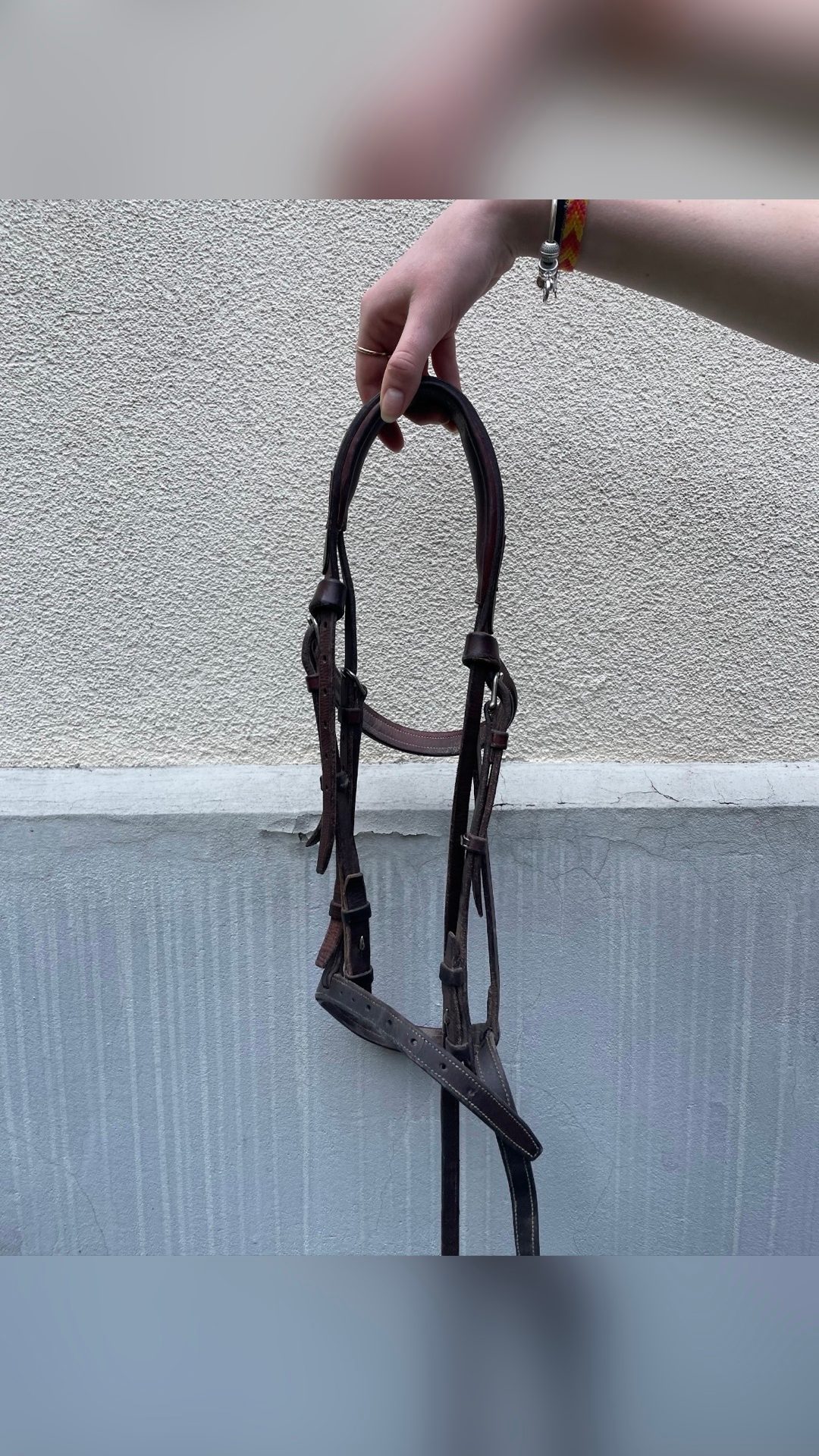 Filet CWD taille poney / Très bon état, média 3