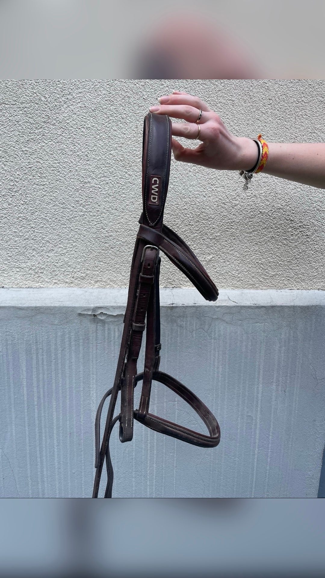 Filet CWD taille poney / Très bon état, média 4