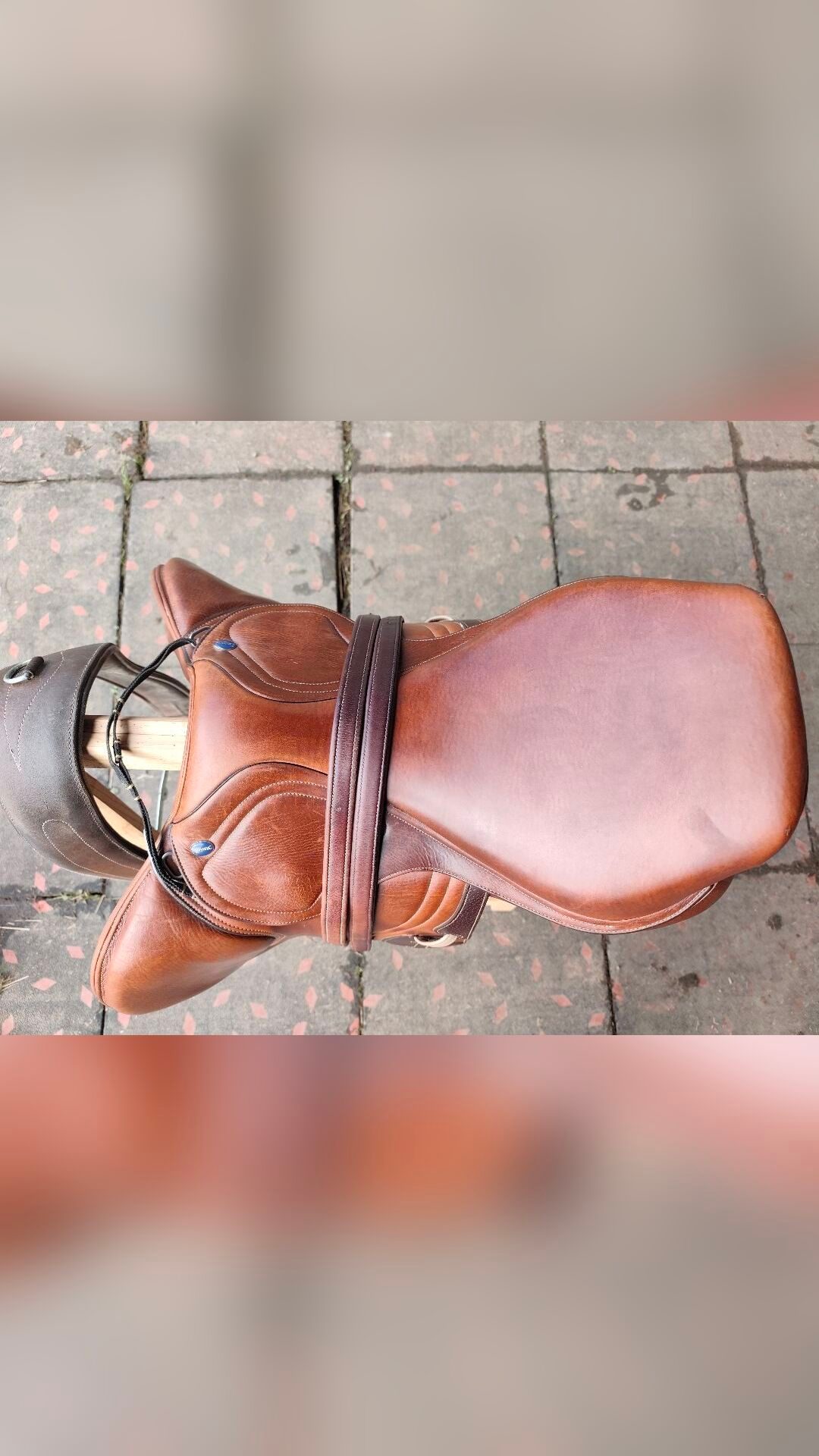Selle Ikonic 17 pouces, média 3