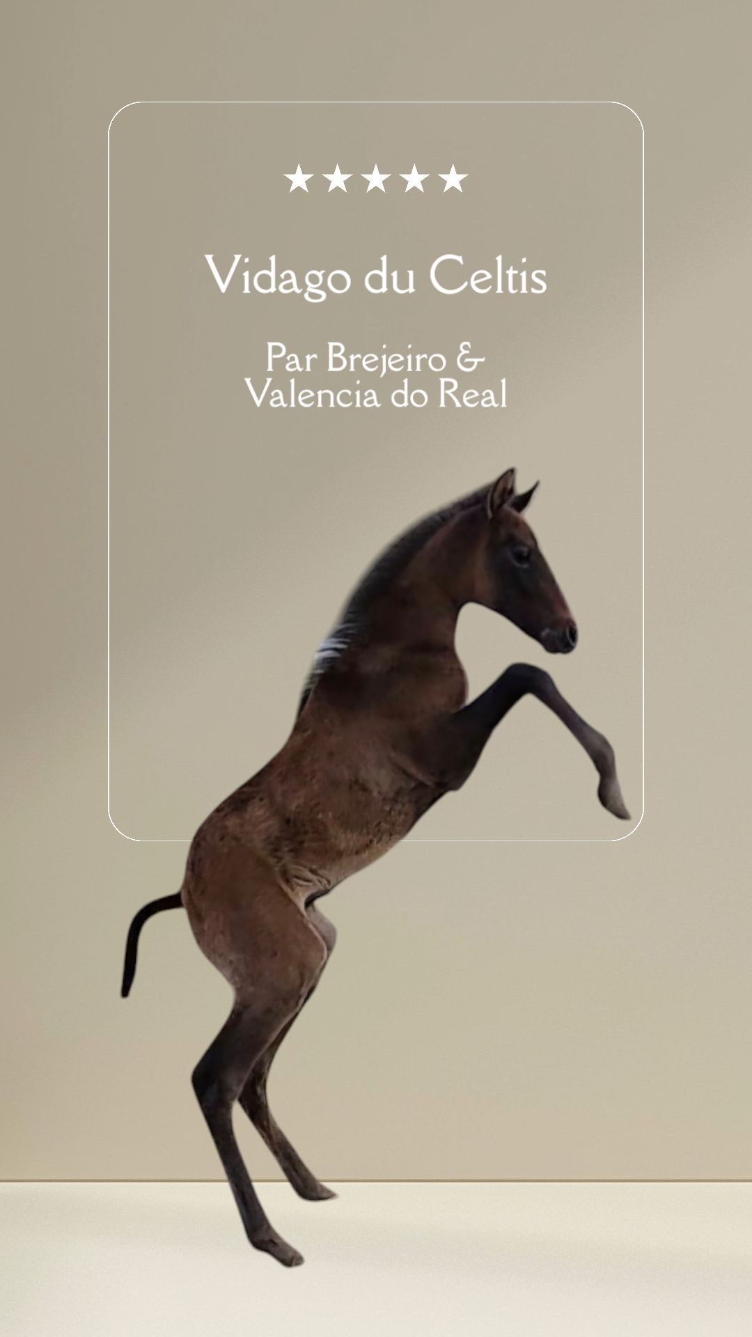 VIDAGO CELTIS, média 5