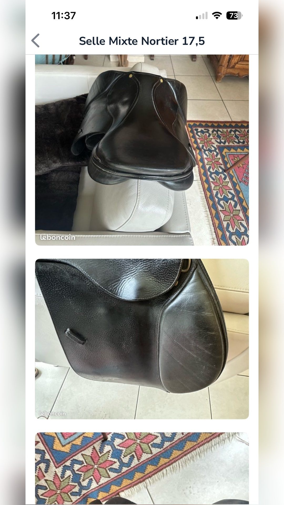 À vendre selle mixte Norton 17.5 noire, média 3